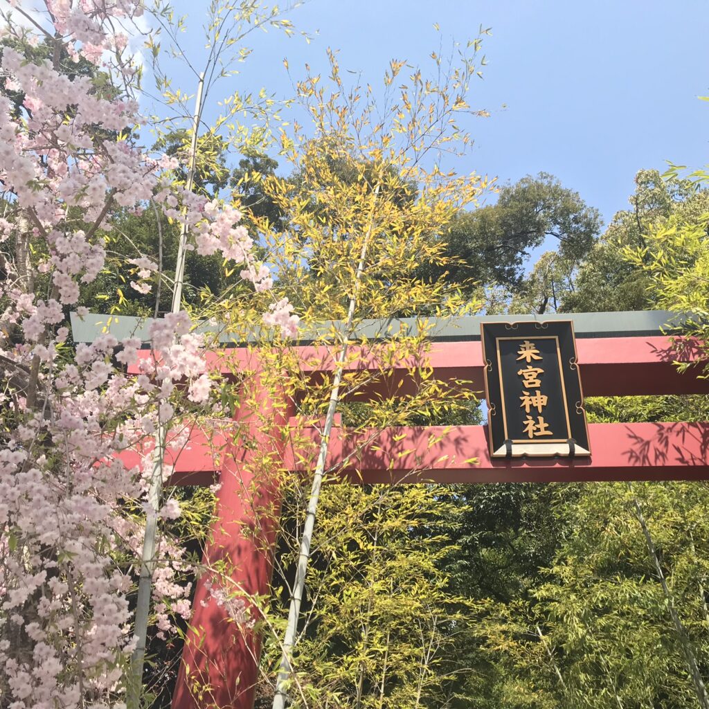 来宮神社１